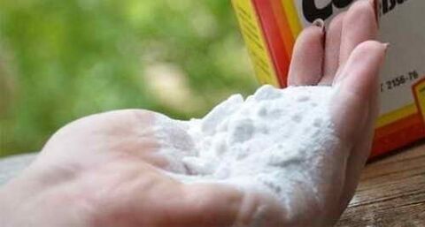 gozogintza soda zakila handitzeko